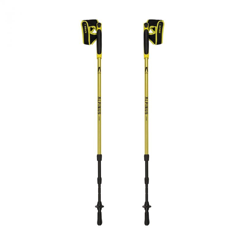 Alpinus Latemar NX43604 nūjošanas nūjas