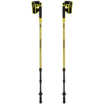 Alpinus Latemar NX43604 nūjošanas nūjas