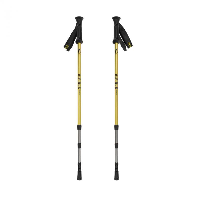 Alpinus Courmayeur NX43600 trekinga nūjas