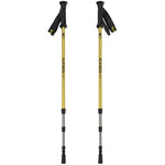 Alpinus Courmayeur NX43600 trekinga nūjas