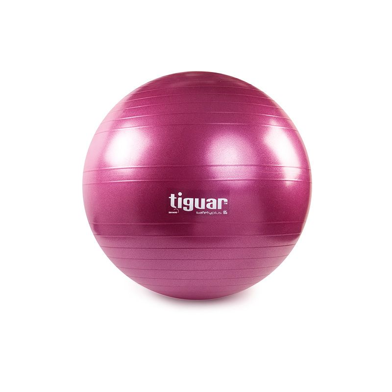Tiguar vingrošanas bumba 65 cm TI-SP0065S