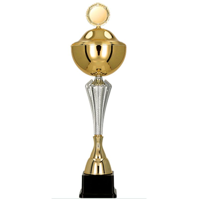 Metāla kauss with a lid
