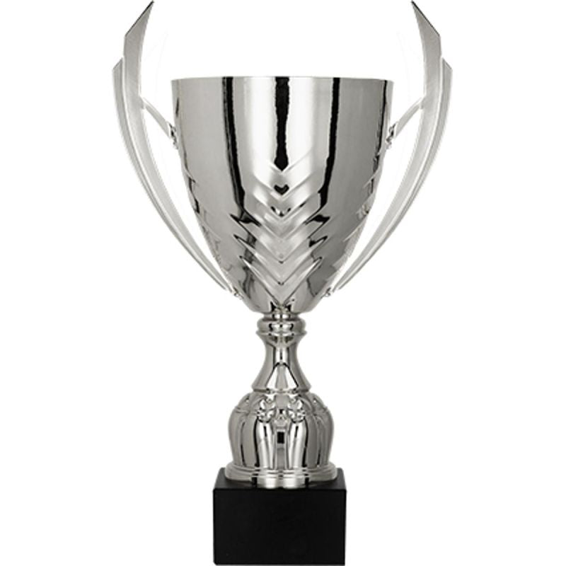 Silver metāla kauss