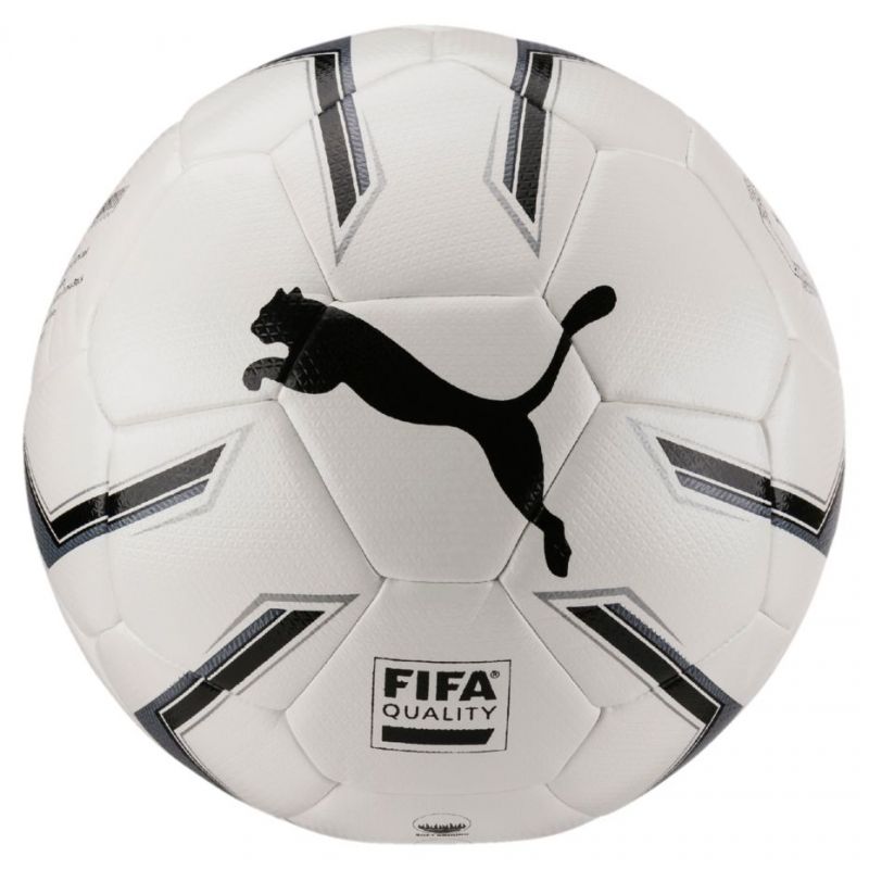 Futbola bumba Puma Elite 2.2 Fusion 082814 01
