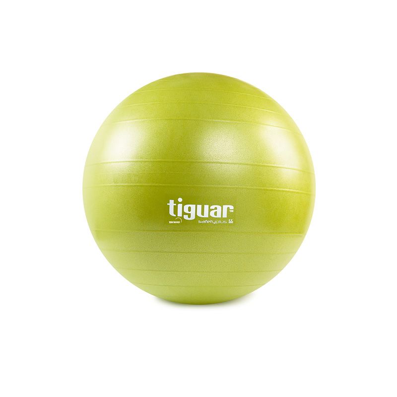 Vingrošanas bumba tiguar  TI-SP0055O (55cm)