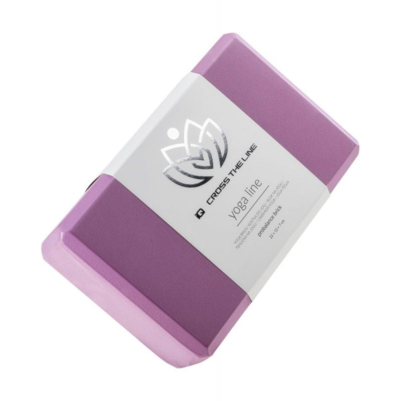 Iq Probalance Brick jogas bloks 92800399155