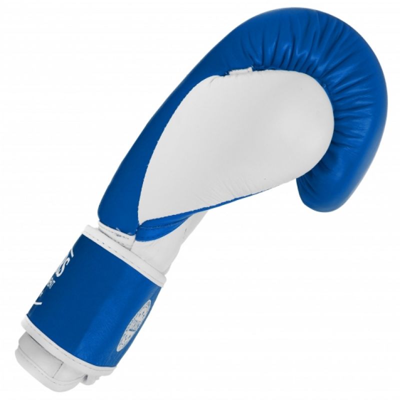 Ādas boksa cimdi MASTERS RBT-TRW 01210-02 - niebieski