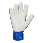 Vārtsargu cimdi Nike Goalkeeper Match CQ7799-445 - 7