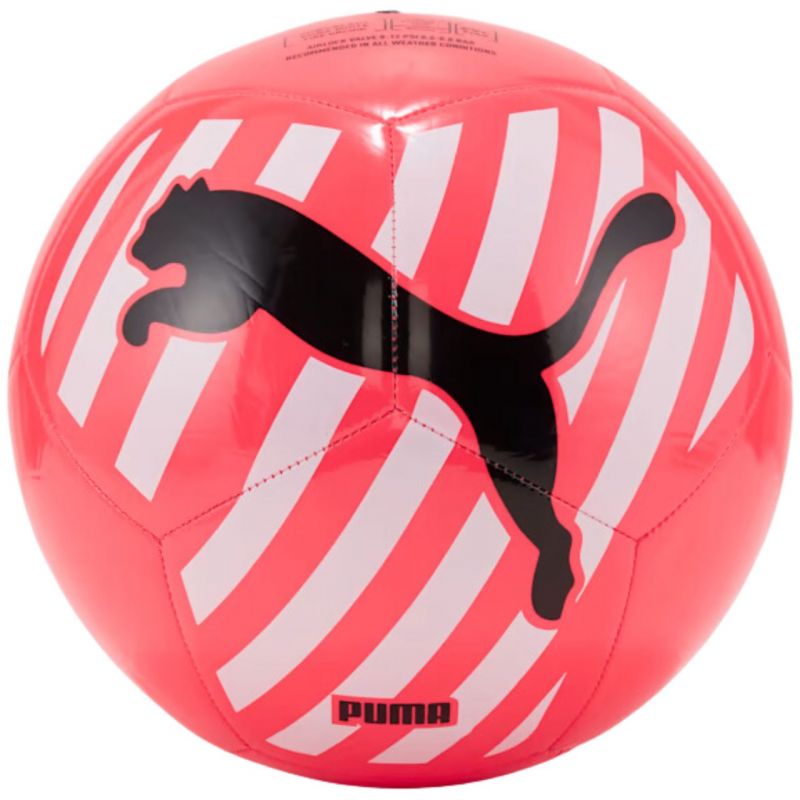 Puma Big Cat futbola bumba 83994 05 - 5