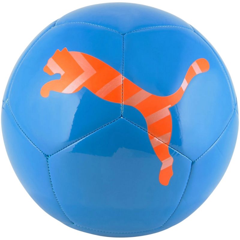 Futbola bumba Puma Icon 83993 01 - 3