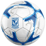 Futbola bumba Lech Poznan S867597