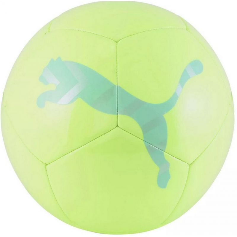 Futbola bumba Puma Icon 83993 02 - 5